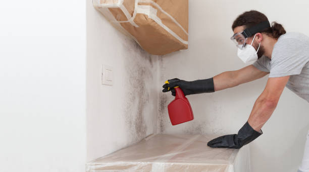 Professional Crawl Space Mold Removal technician working in Schooleys Mountain, NJ