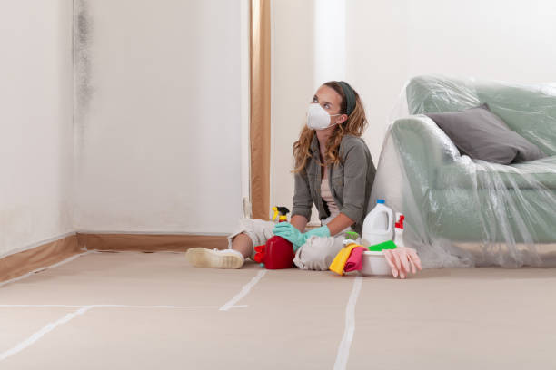 Reliable Crawl Space Mold Removal contractor in Schooleys Mountain, NJ by WQB Mold Removal