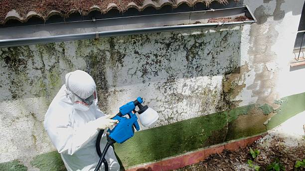 Top rated local Crawl Space Mold Removal specialists in Schooleys Mountain, NJ